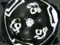 Cymatic image