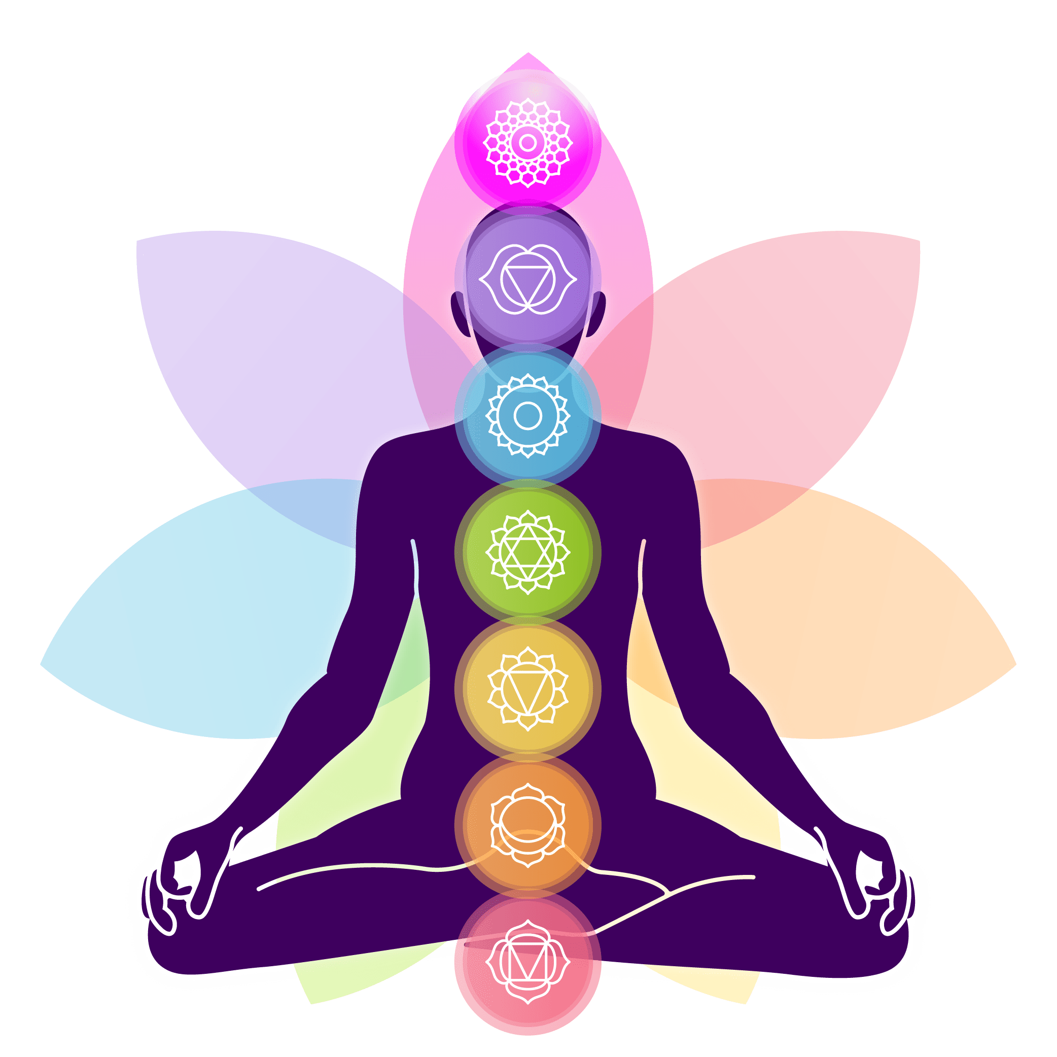 the 7 chakras and chakra colours with coloured flower petals for chakra healing music